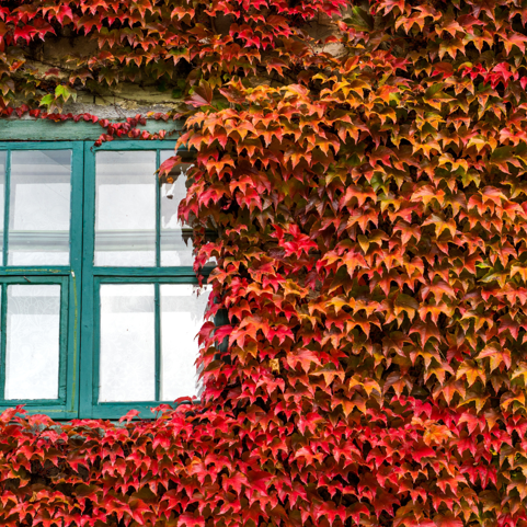 Photo d'une maison vu de l'extérieur en automne.